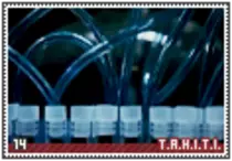 showtime/shield-tahiti14.png