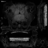 webgl/exp6/modelos/skull/human_skull_medres_aged_spec.png