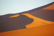 images/duneartweb.jpg