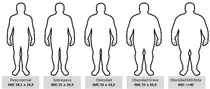 imc/CATEGORIAS-OBESIDAD23.png