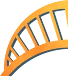 img/Bridge.png