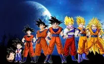 Images/Gokus.jpg