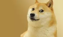 DOGE.jpg