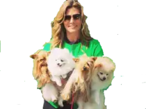 PET WALK/1115455.png