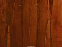 PET WALK/wood_texture2-1024x768.jpg