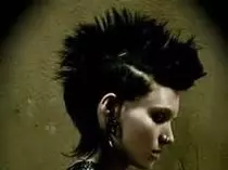cyberpunk/goshehawk.jpg