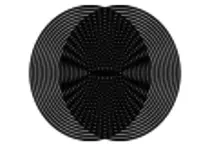 Modulo II/SVG_Video_Picture/Moire_Circles_100px.png
