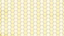 beebackground5.jpg