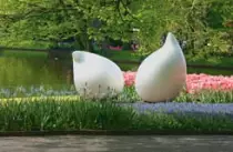keukenhof2.jpg