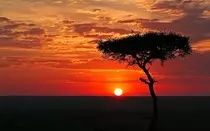 african-landscape-wallpaper-12.jpg