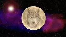 images/Thumb/Wolf-Moon_thumb.jpg