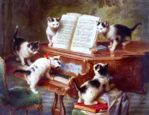 pianocat.jpg