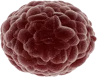 assets/images/enemy-breastcancer.png