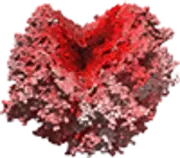 assets/images/enemy-lungcancer.png