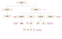 arbol/arbol.png