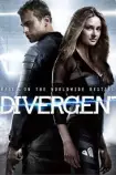 divergent link.jpg