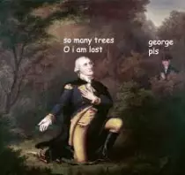 Washington.jpg