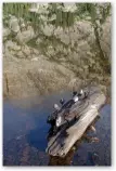 tutorial.02/tutorial/pearlake.jpg