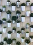 images/plantas.jpg