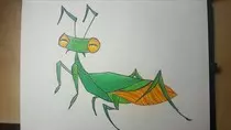 mantis.jpg