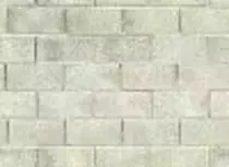 fondo2.jpg