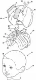 002infantbrain.png