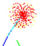 img/fireworks.gif
