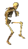 img/skeltortrans.gif