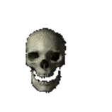 img/skull2.gif