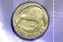 nz.jpg