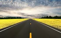 images/Background.jpg