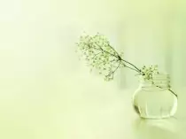 picture13.jpg