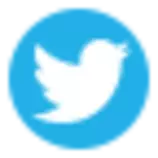 Lions-Den/template-images/social-media/Twitter.png
