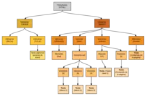 img/ejercicio 2 P2P Modulo 1 - Page 1.png