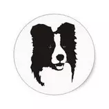 TareaHTML5/images/logo.jpg