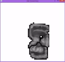 video_games/video_games_pictures/bw-modding-terrain_view2.png