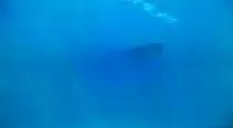 video_games/video_games_pictures/rff/battlestations_midway-endgame-second_attempt-hiryu-sinking3.jpg