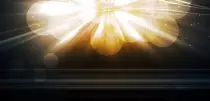 Test/images/gallery/02.jpg