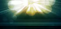 Test/images/gallery/03.jpg
