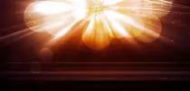 Test/images/gallery/05.jpg