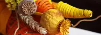 Test/images/news/01.jpg