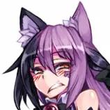 cat.jpg