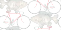 graphics/populationcontrol.gif