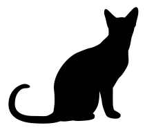 images/black-cat-pv.png
