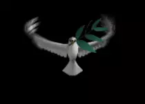 dove.gif