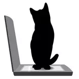 images/digital/catscan_s.jpg