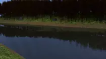 Images/Blender/Forest.png