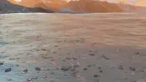 Images/Blender/Ocean.png