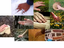 Images/Feel.png