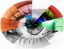 Images/Sight.png